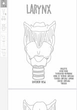 Load image into Gallery viewer, Speech Mechanisms coloring sheets /Digital Prints
