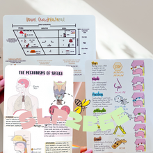 Load image into Gallery viewer, SLP Gift Box, SLPA/SLP2Bee