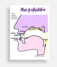 Load image into Gallery viewer, SLP Gift Box, SLPA/SLP2Bee