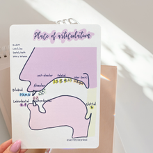 Load image into Gallery viewer, 3 Study cards bundle/Stationery