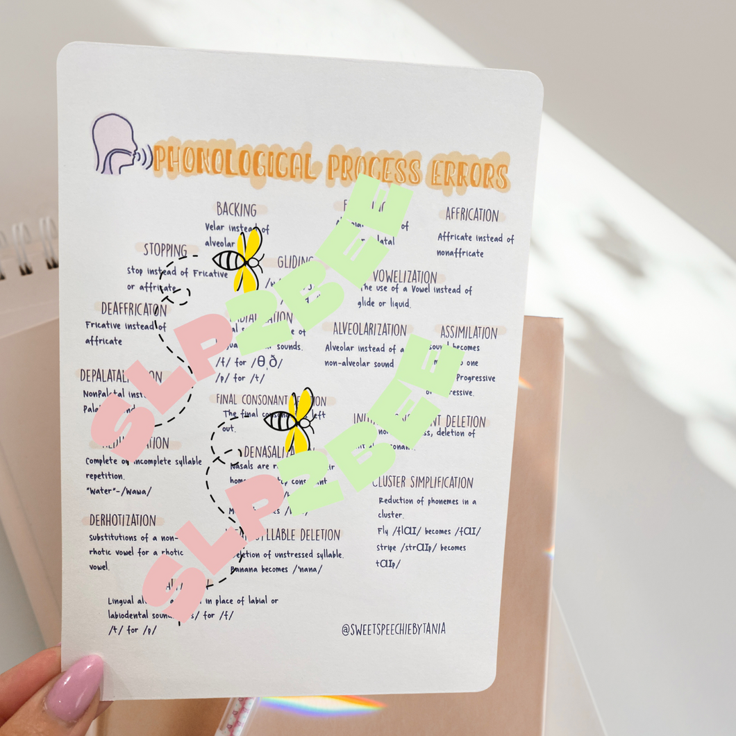 Phonological processes errors Double sided study card/ stationery