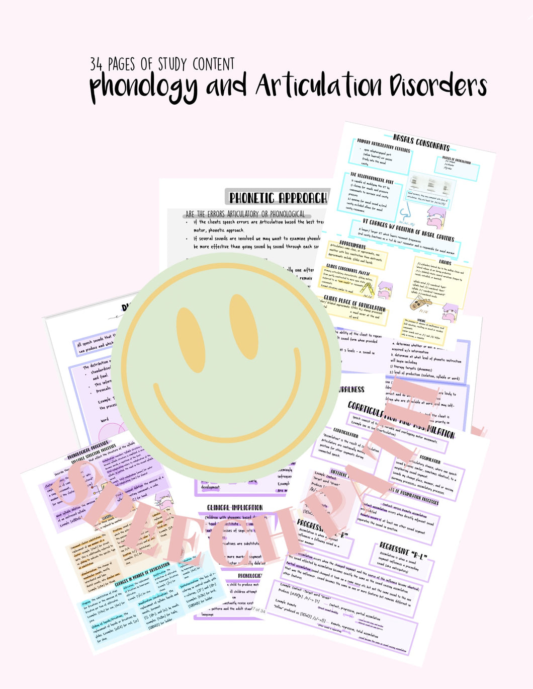 Phonology and Articulation Disorders study guide/ Digital Prints