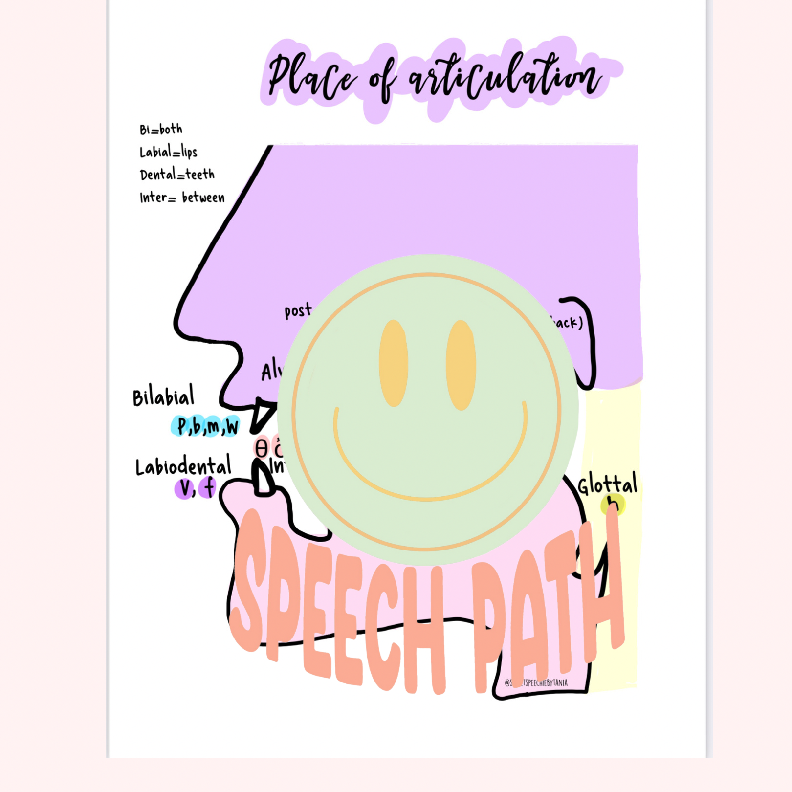 Places of Articulation Diagram / Digital prints - Tania'Sweet Finds