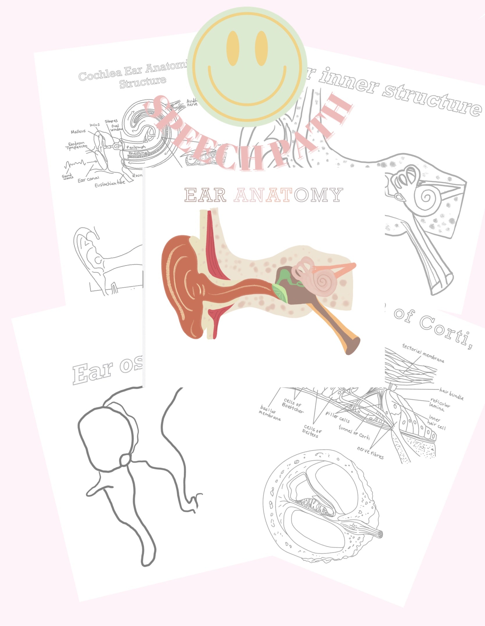 Ear Anatomy Coloring Page Human Anatomy Coloring Book For Kids: A