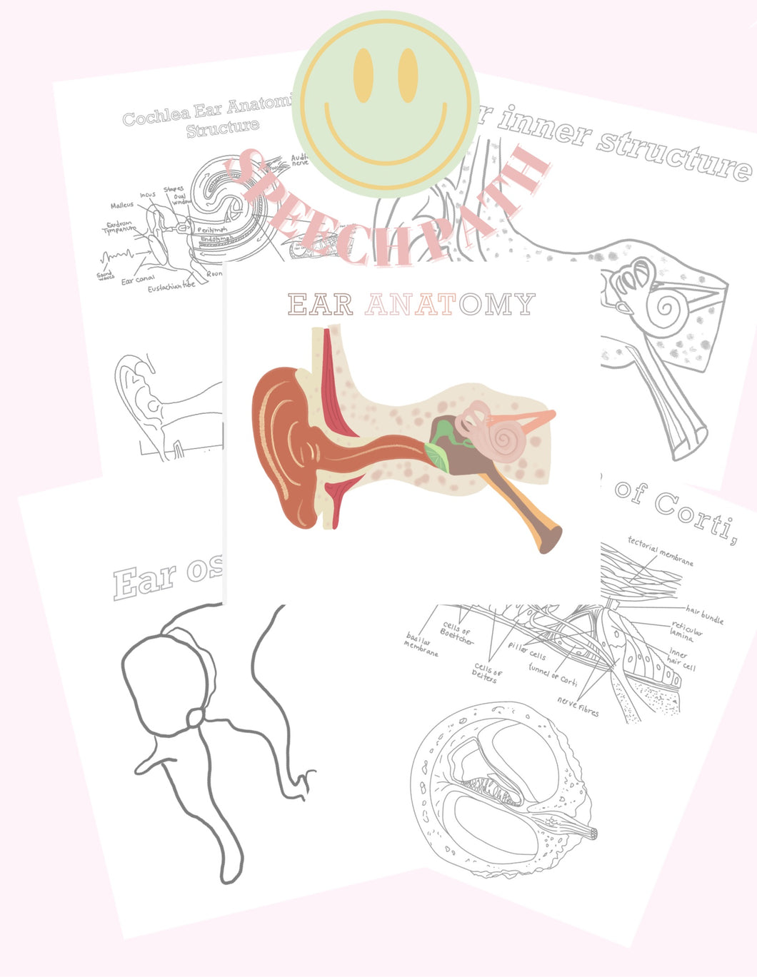 Ear Anatomy coloring pages / Digital prints
